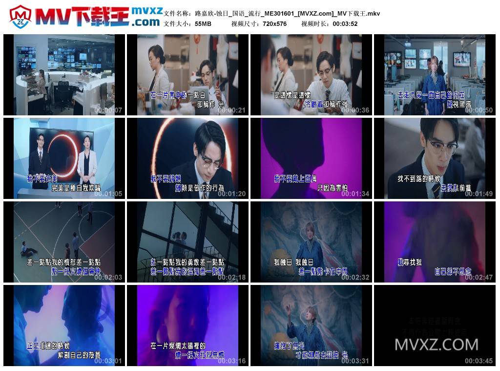 路嘉欣-蚀日_国语_流行_ME301601